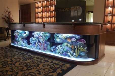 Нюансы размещения стола-аквариума, изготовление своими руками 485 - ДиванеТТо