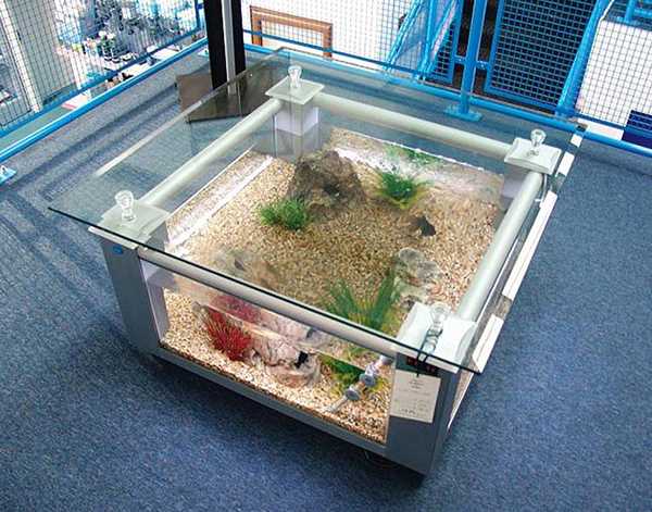 Нюансы размещения стола-аквариума, изготовление своими руками 7 - ДиванеТТо