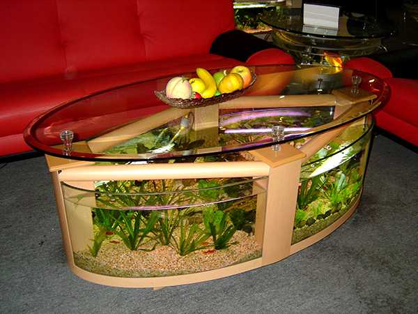 Нюансы размещения стола-аквариума, изготовление своими руками 11 - ДиванеТТо