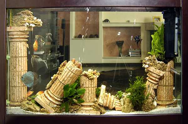 Нюансы размещения стола-аквариума, изготовление своими руками 35 - ДиванеТТо