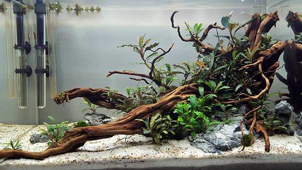 Нюансы размещения стола-аквариума, изготовление своими руками 39 - ДиванеТТо