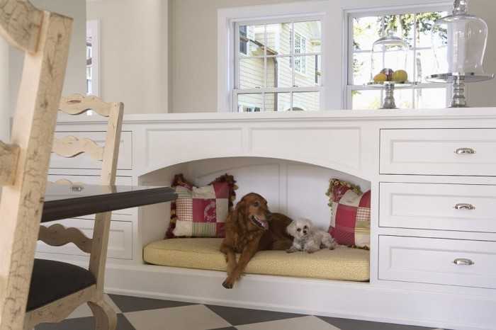 Специальная мебель с местом для собаки