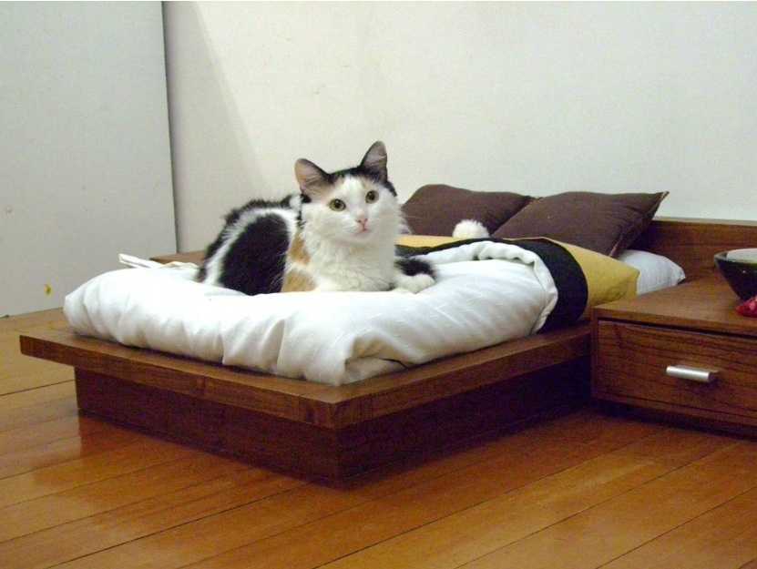 Кровать для небольшого животного