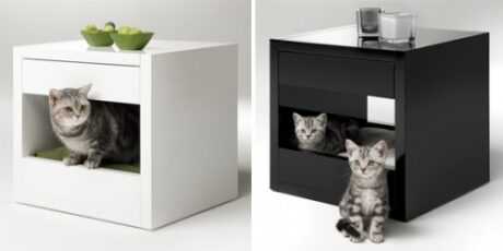 Варианты мебели для кошки, полезные советы по выбору 153 - ДиванеТТо